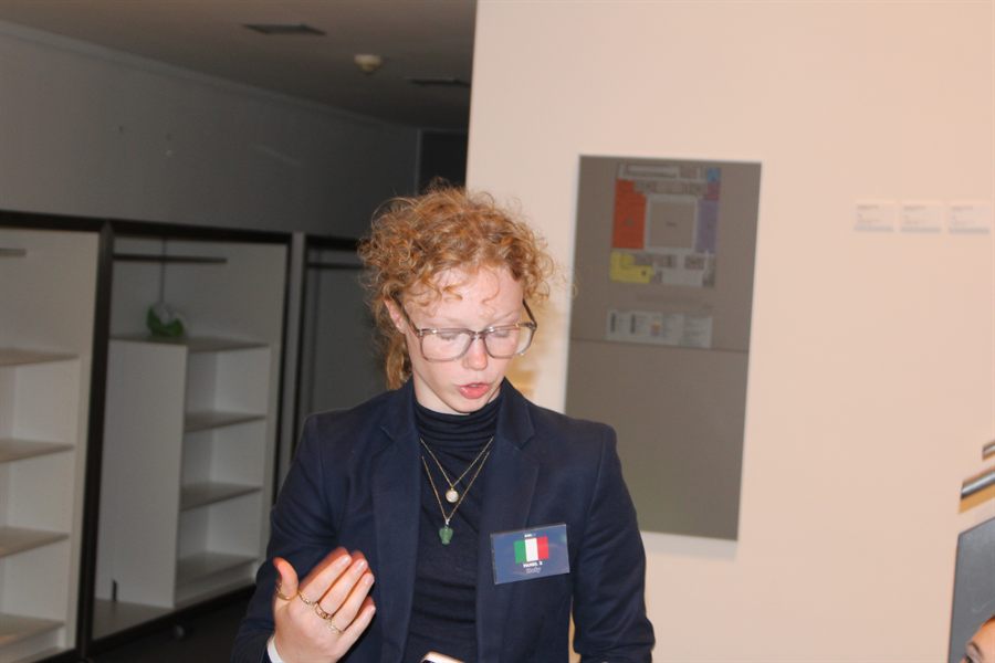 A delegate speaking during a committee session.