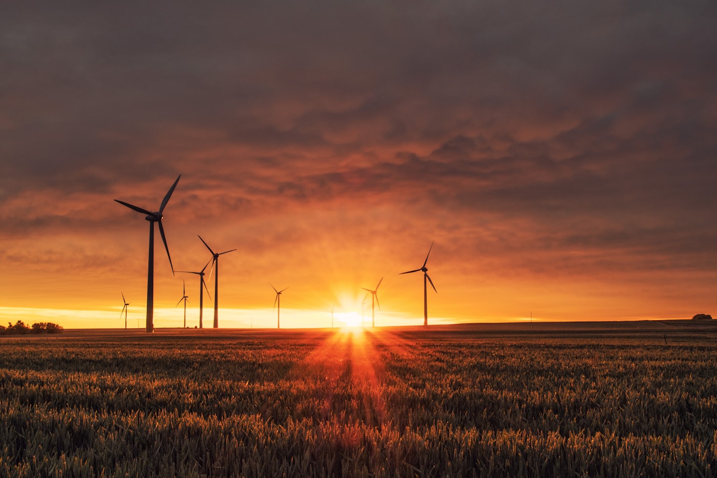 Wind turbines in an open field at golden hour.
